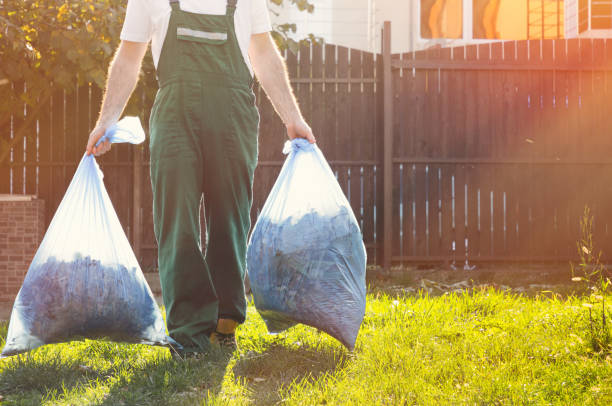 Best Recycling Services for Junk  in Blissfield, MI